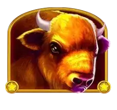 Buffalo